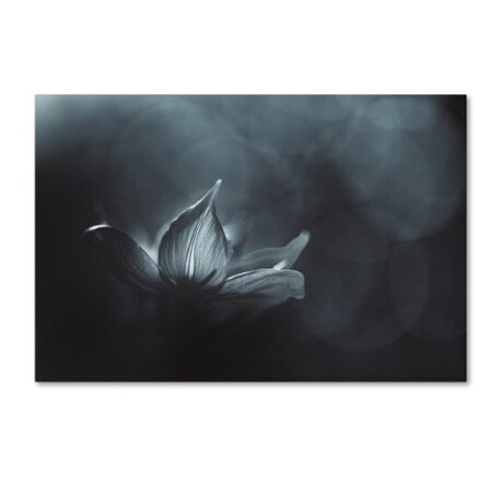 Trademark Fine Art Penny Myles 'Catching The Light' Canvas Art, 30x47 1X00478-C3047GG